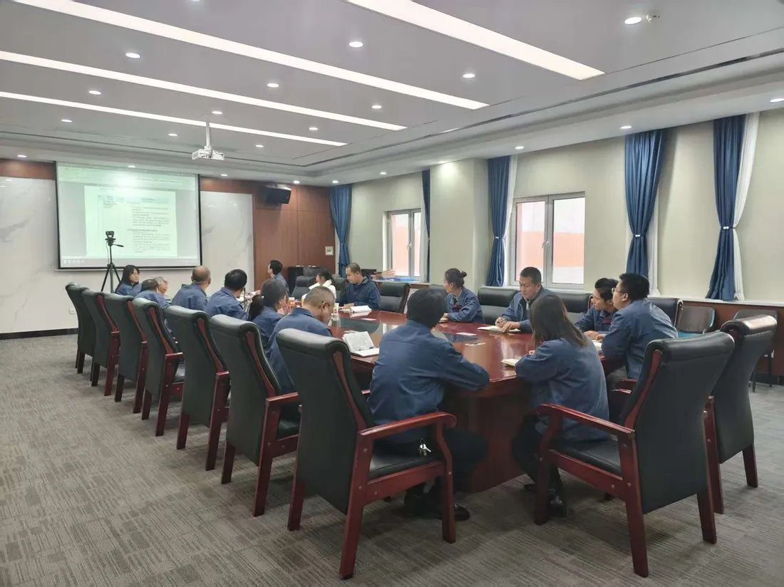 医药保健 · On-site / video audit
