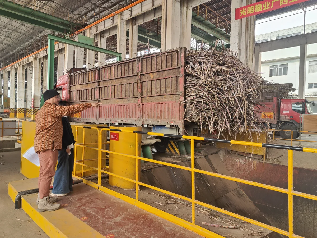 食品·糖业 · 实地验厂现场