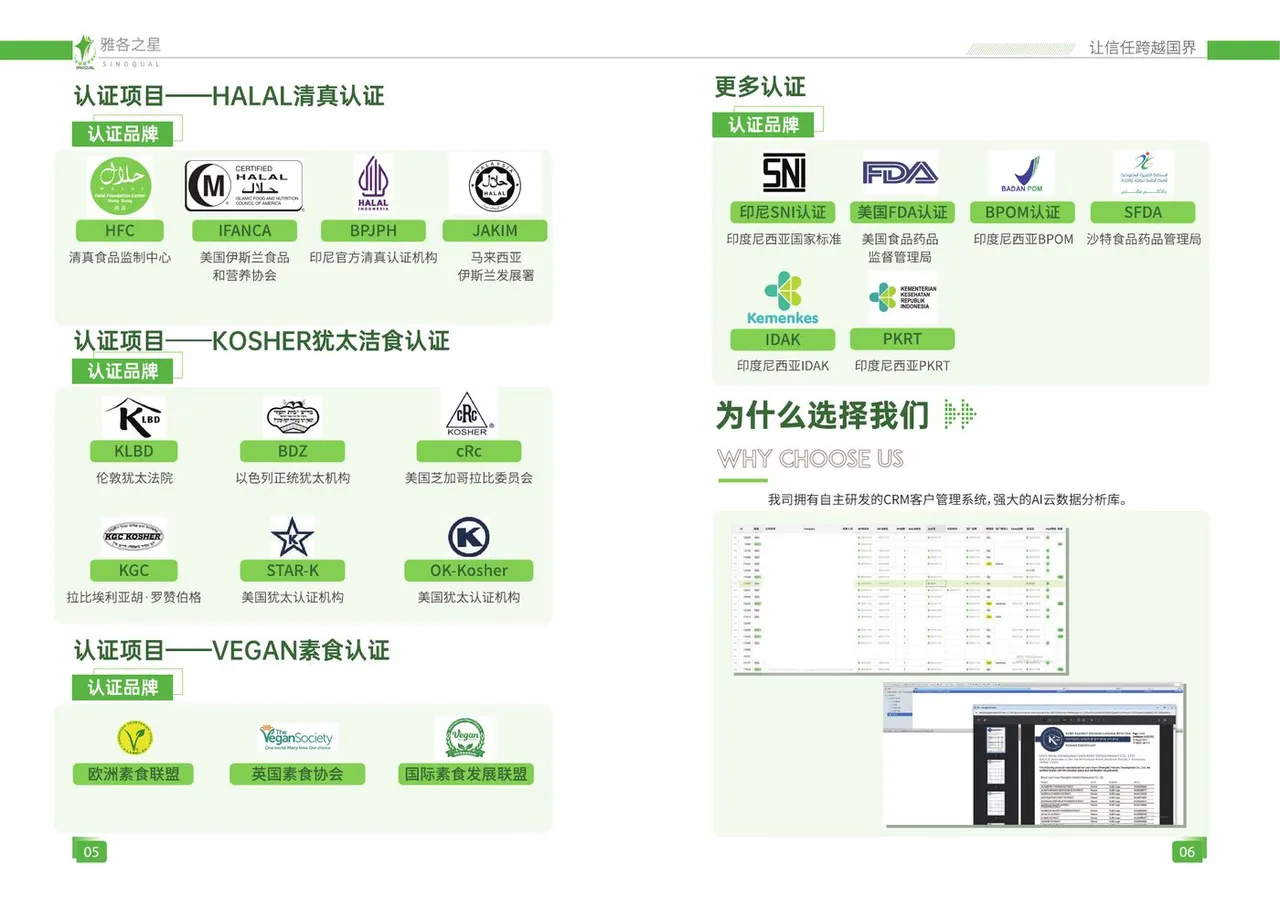 雅各之星公司画册第 4 页