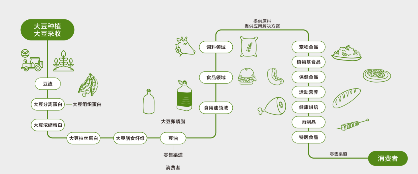 我国大豆出口国际洁食市场的前景及案例分享
