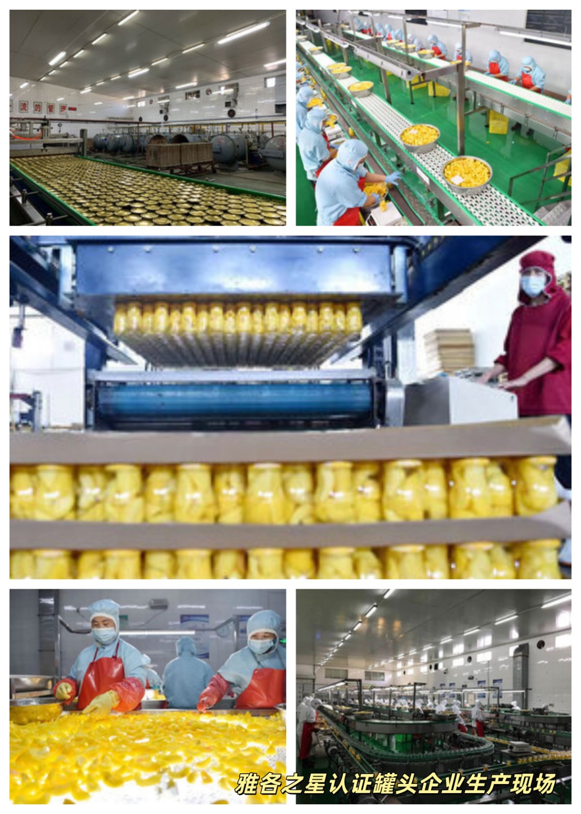 生产现场 生产现场